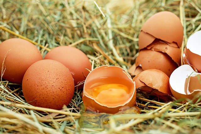 kuřecí vejce.jpg