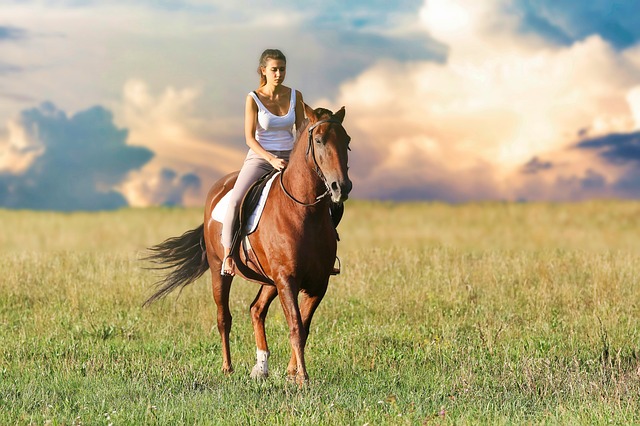 žena na koni projíždějící se po poli