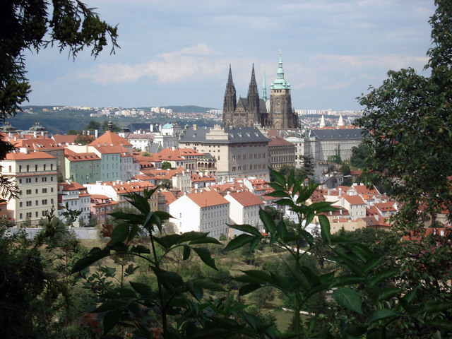 pohled na Pražský hrad z Petřína.jpg